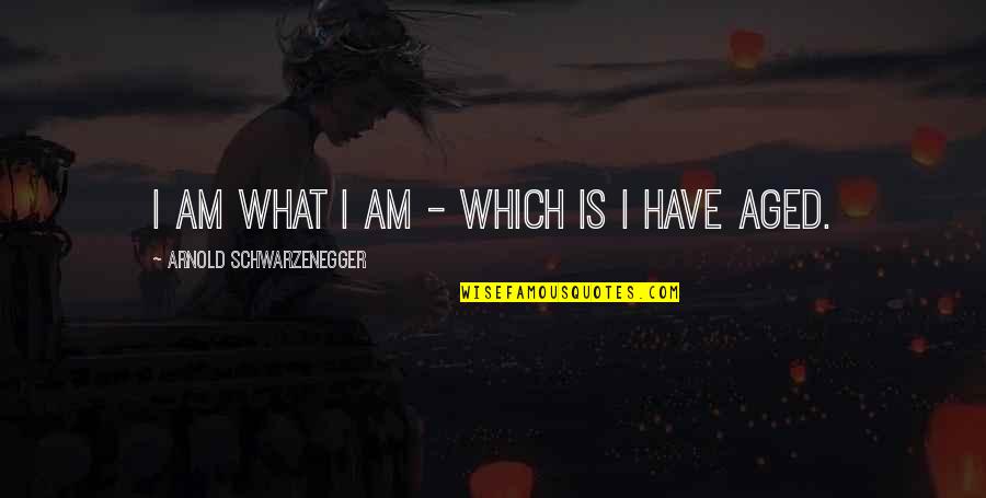 Long Mejia Quotes By Arnold Schwarzenegger: I am what I am - which is