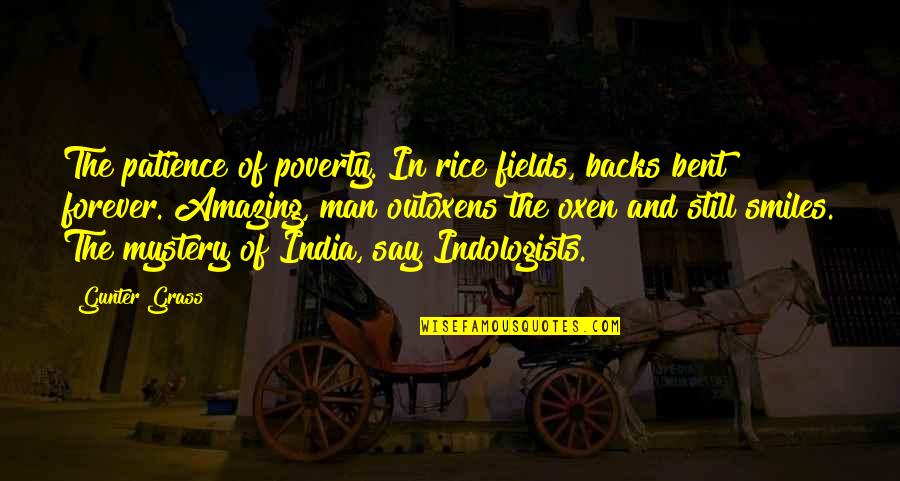 Long Shadow Quotes By Gunter Grass: The patience of poverty. In rice fields, backs