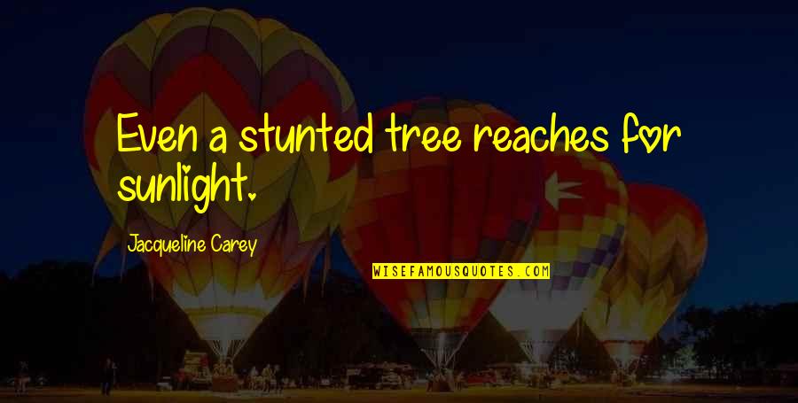 Long Term Care Nursing Quotes By Jacqueline Carey: Even a stunted tree reaches for sunlight.