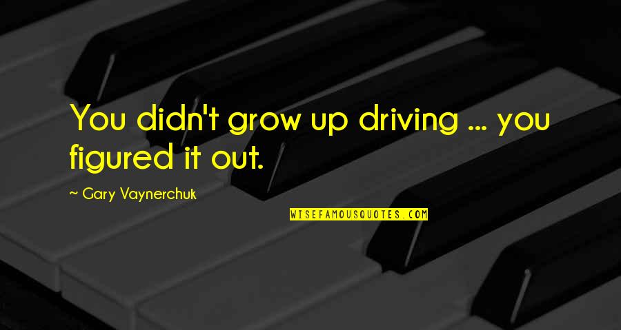 Long Walk To Freedom Film Quotes By Gary Vaynerchuk: You didn't grow up driving ... you figured