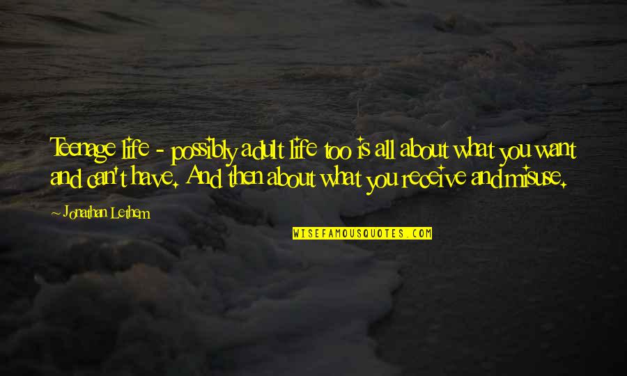 Long Weeks Of Work Quotes By Jonathan Lethem: Teenage life - possibly adult life too is