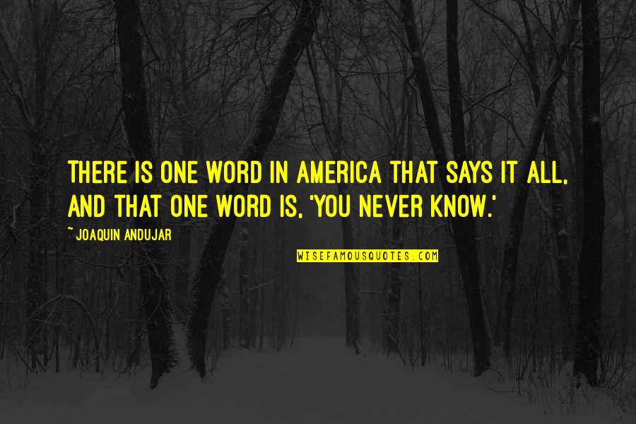 Long Winded 7 Quotes By Joaquin Andujar: There is one word in America that says Long Winded 7 Quotes By Joaquin Andujar: There is one word in America that says