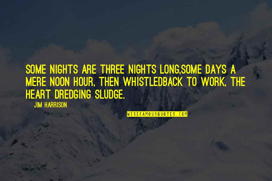 Long Work Days Quotes By Jim Harrison: Some nights are three nights long,some days a