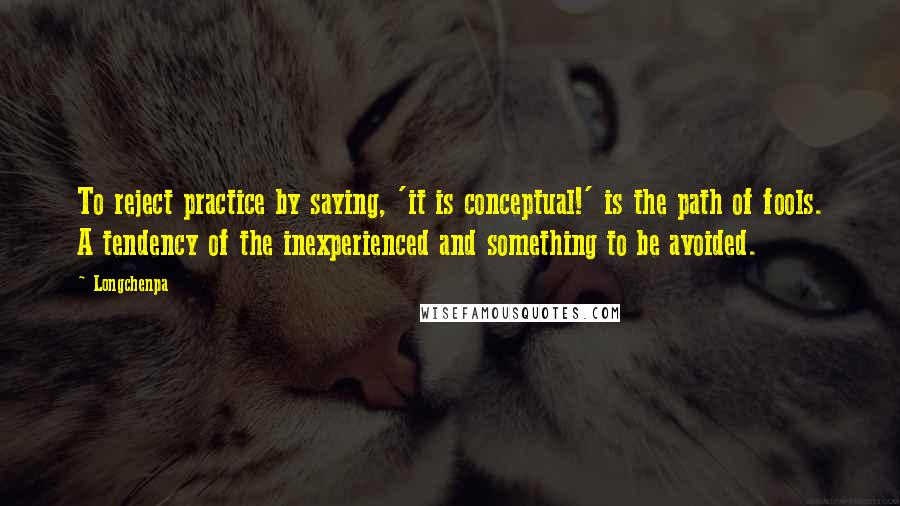 Longchenpa quotes: To reject practice by saying, 'it is conceptual!' is the path of fools. A tendency of the inexperienced and something to be avoided.