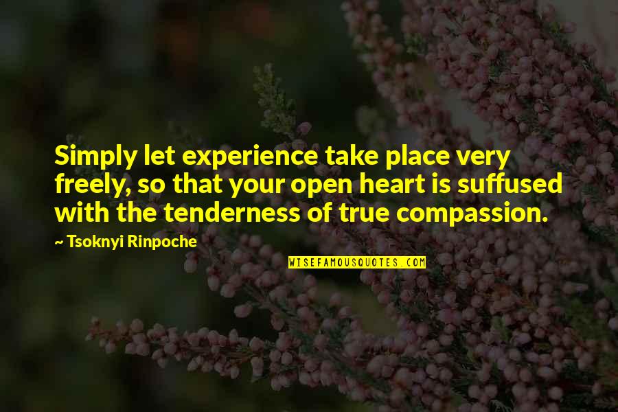 Longdon Place Quotes By Tsoknyi Rinpoche: Simply let experience take place very freely, so