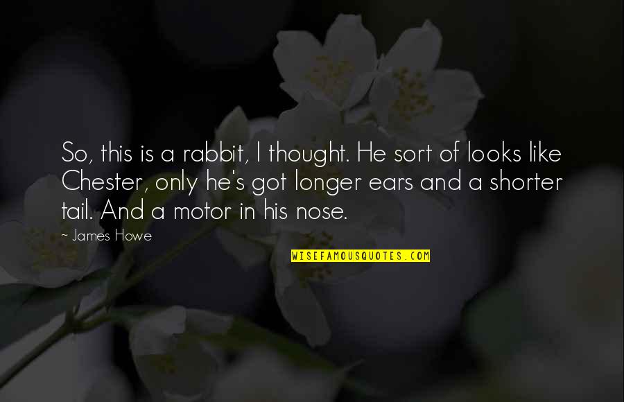 Longer Or Shorter Quotes By James Howe: So, this is a rabbit, I thought. He