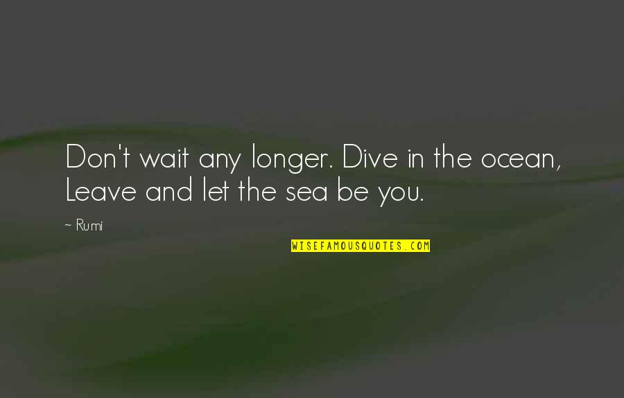 Longer You Wait Quotes By Rumi: Don't wait any longer. Dive in the ocean,