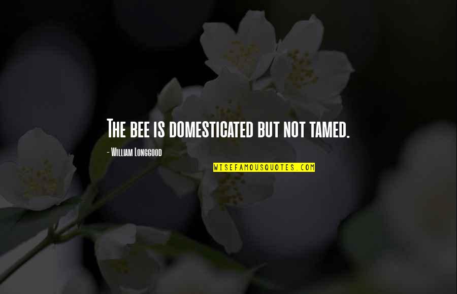 Longgood Quotes By William Longgood: The bee is domesticated but not tamed.