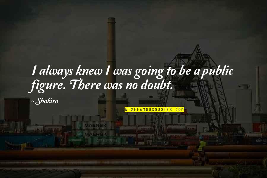 Longhenry Construction Quotes By Shakira: I always knew I was going to be