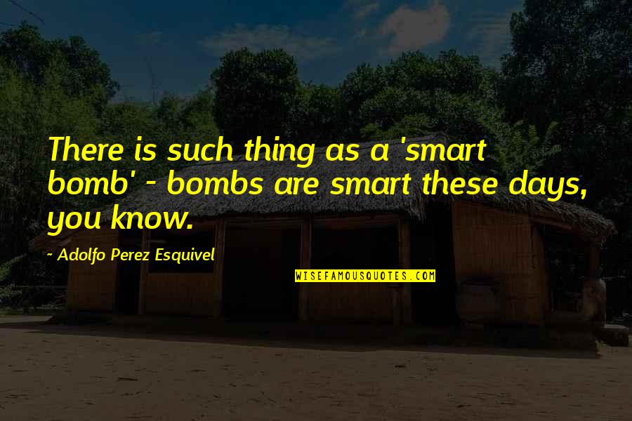 Longlife Canning Quotes By Adolfo Perez Esquivel: There is such thing as a 'smart bomb'