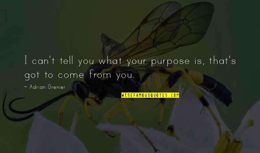 Longobucco Juventus Quotes By Adrian Grenier: I can't tell you what your purpose is, Longobucco Juventus Quotes By Adrian Grenier: I can't tell you what your purpose is,