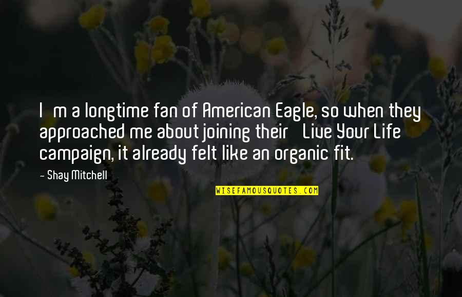 Longtime Quotes By Shay Mitchell: I'm a longtime fan of American Eagle, so