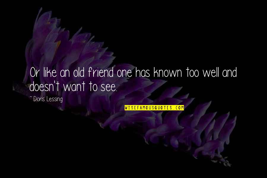 Lonlieness Quotes By Doris Lessing: Or like an old friend one has known