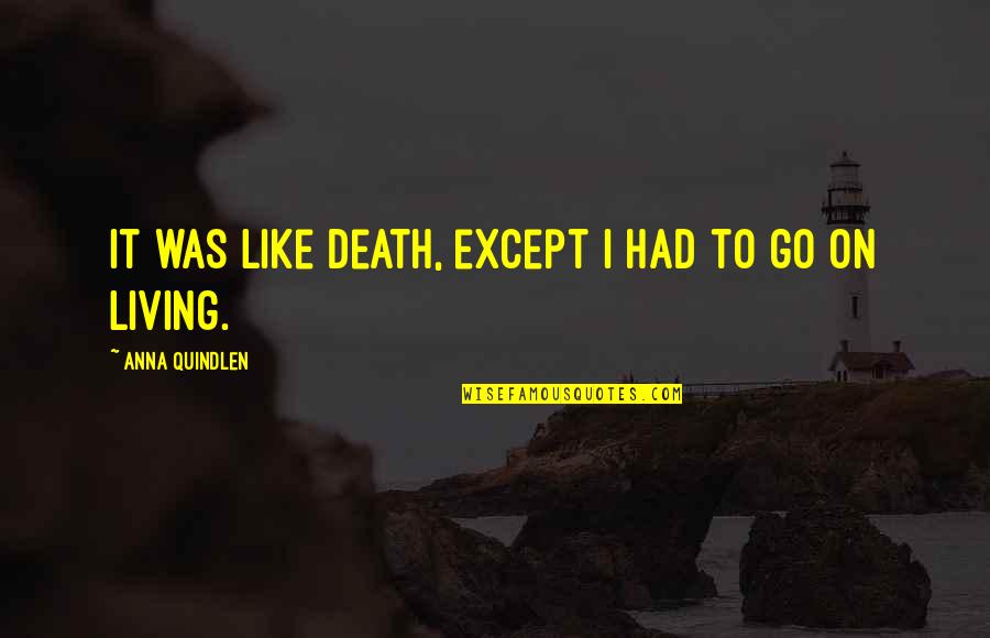 Lon'qu Critical Hit Quotes By Anna Quindlen: It was like death, except I had to