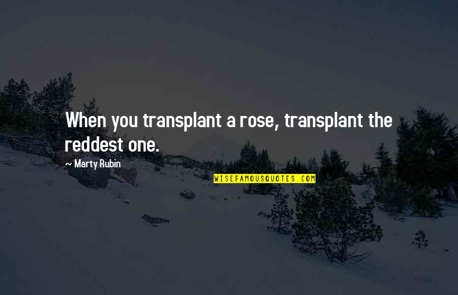Lon'qu Critical Quotes By Marty Rubin: When you transplant a rose, transplant the reddest Lon'qu Critical Quotes By Marty Rubin: When you transplant a rose, transplant the reddest