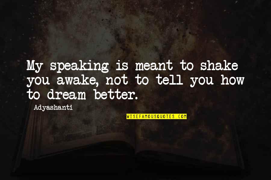 Loodgieter Gent Quotes By Adyashanti: My speaking is meant to shake you awake,