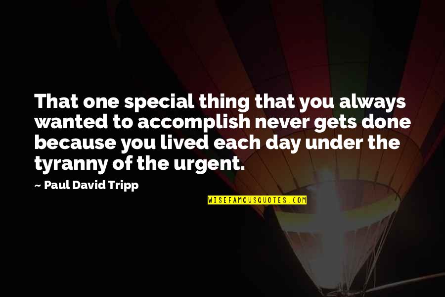 Loogie Quotes By Paul David Tripp: That one special thing that you always wanted