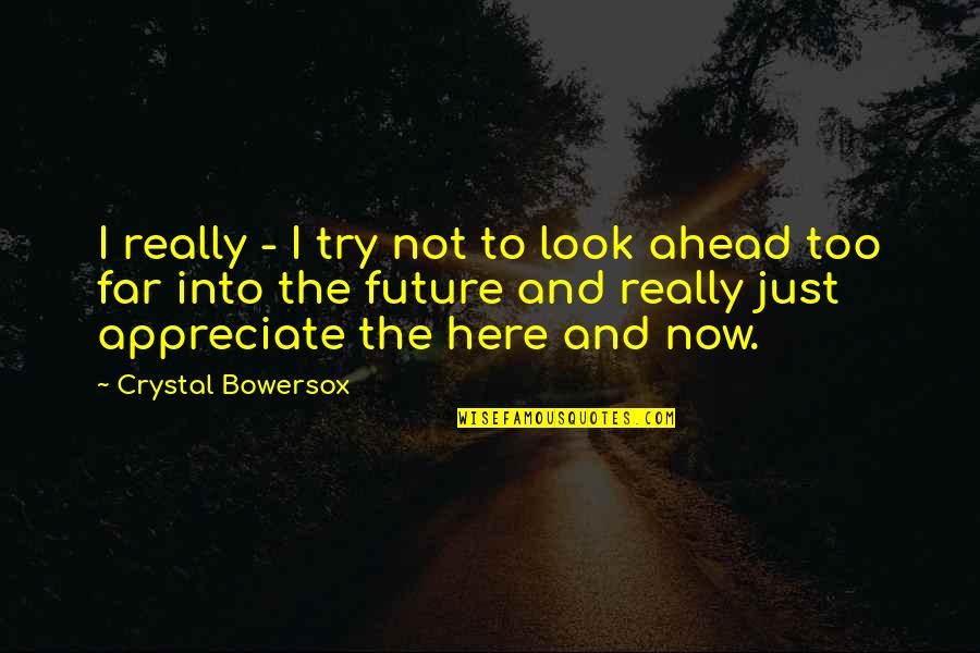 Look Ahead Quotes By Crystal Bowersox: I really - I try not to look