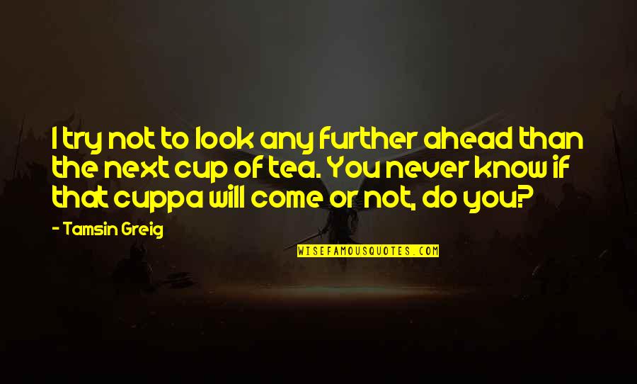 Look Ahead Quotes By Tamsin Greig: I try not to look any further ahead