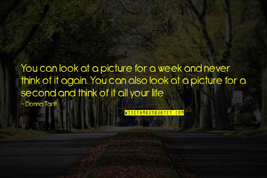 Look At Life Quotes By Donna Tartt: You can look at a picture for a