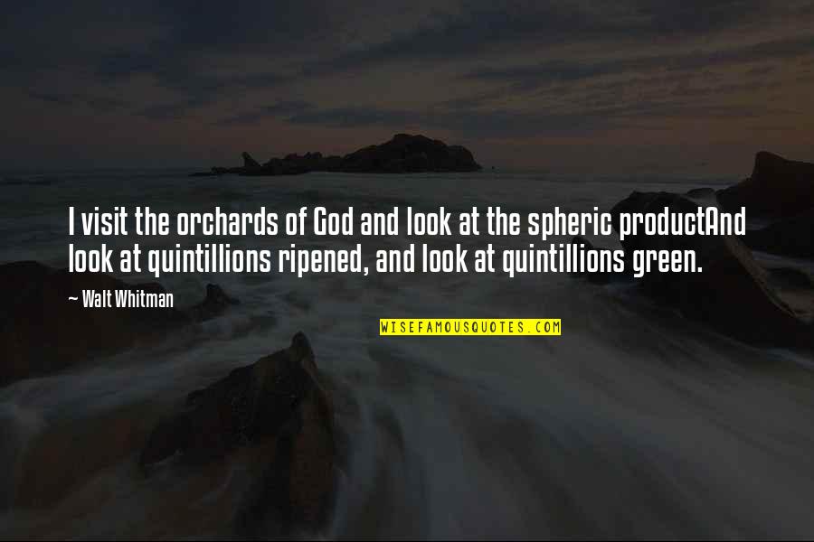 Look At Life Quotes By Walt Whitman: I visit the orchards of God and look