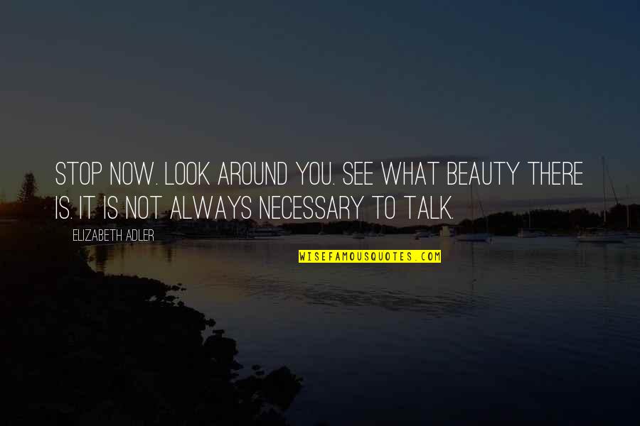 Look At The Beauty Around You Quotes By Elizabeth Adler: Stop now. Look around you. See what beauty