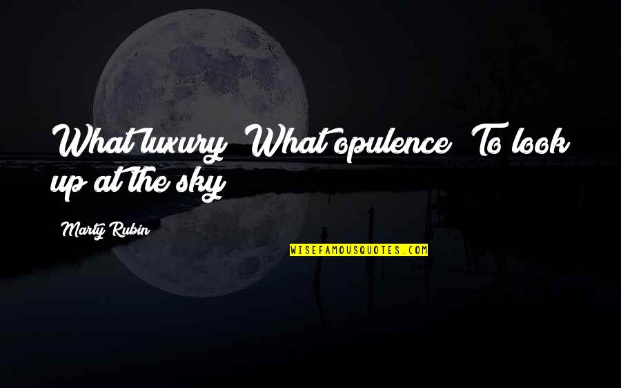Look At The Sky Quotes By Marty Rubin: What luxury! What opulence! To look up at