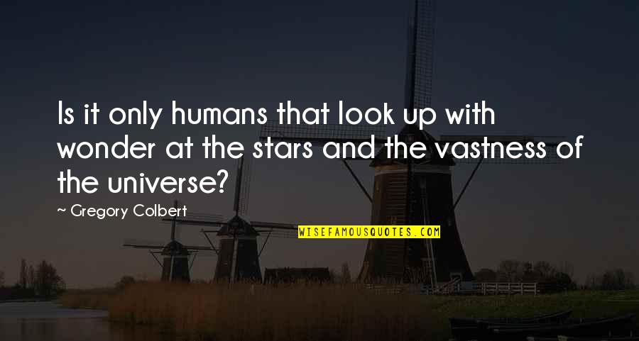 Look At The Stars Quotes By Gregory Colbert: Is it only humans that look up with Look At The Stars Quotes By Gregory Colbert: Is it only humans that look up with