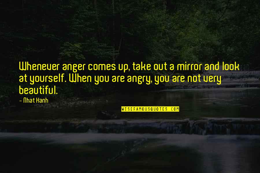 Look At Yourself In The Mirror Quotes By Nhat Hanh: Whenever anger comes up, take out a mirror