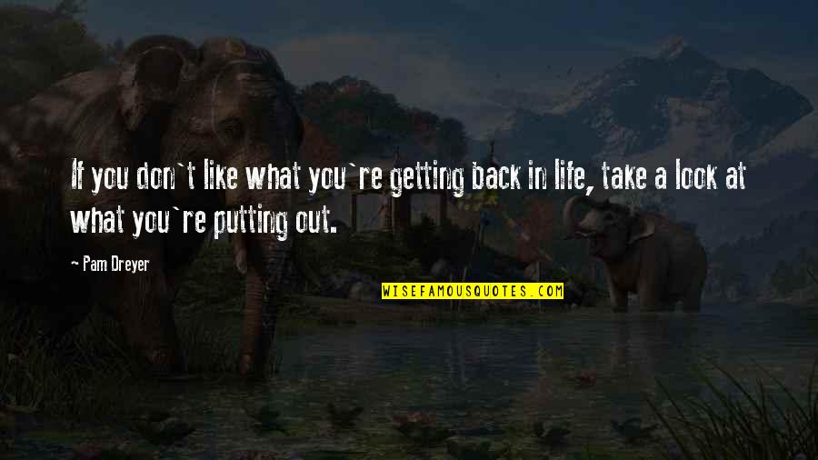 Look Back At Life Quotes By Pam Dreyer: If you don't like what you're getting back