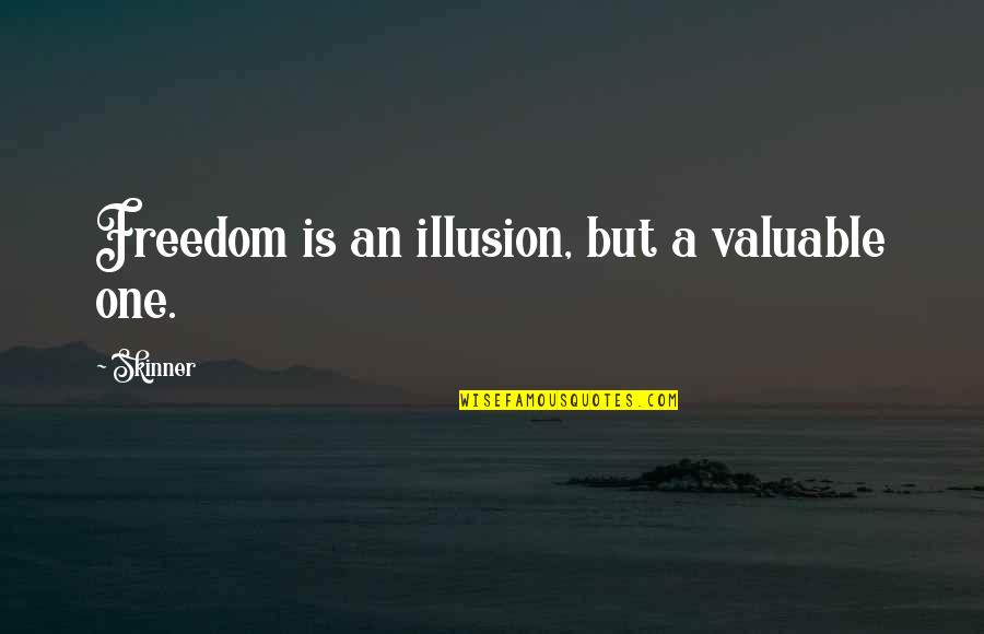 Look Back Positive Quotes By Skinner: Freedom is an illusion, but a valuable one.