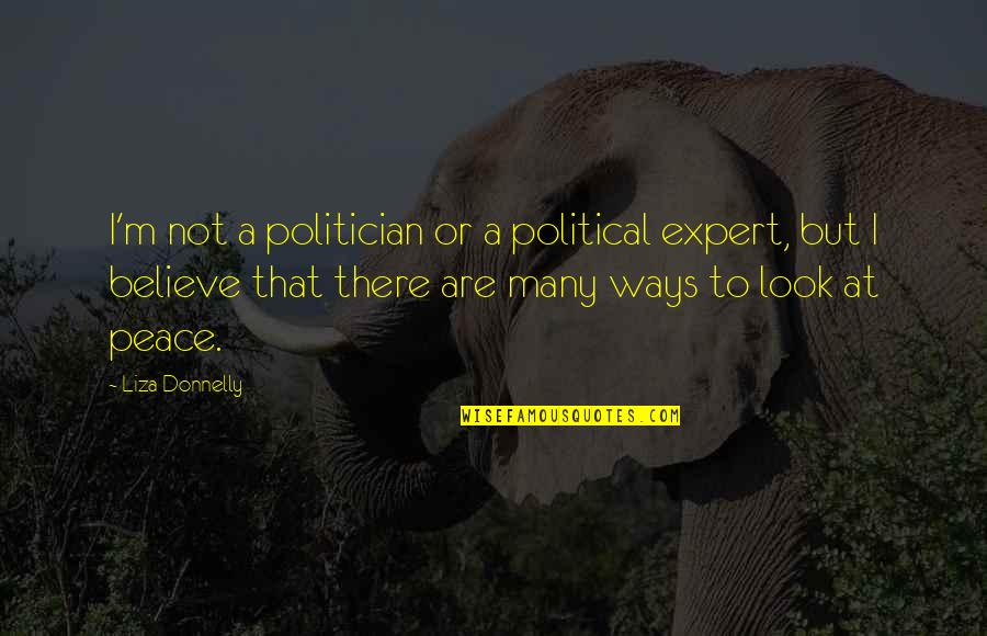 Look Both Ways Quotes By Liza Donnelly: I'm not a politician or a political expert,