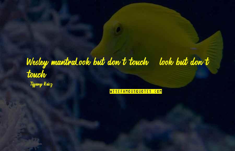 Look But Don't Touch Quotes By Tiffany Reisz: Wesley mantraLook but don't touch ... look but