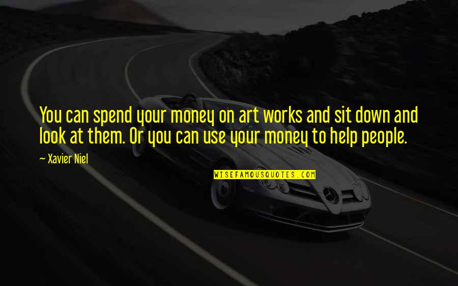 Look Down On You Quotes By Xavier Niel: You can spend your money on art works