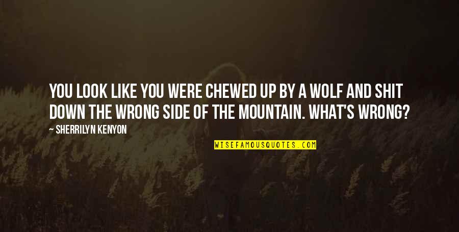 Look Down Upon Quotes By Sherrilyn Kenyon: You look like you were chewed up by