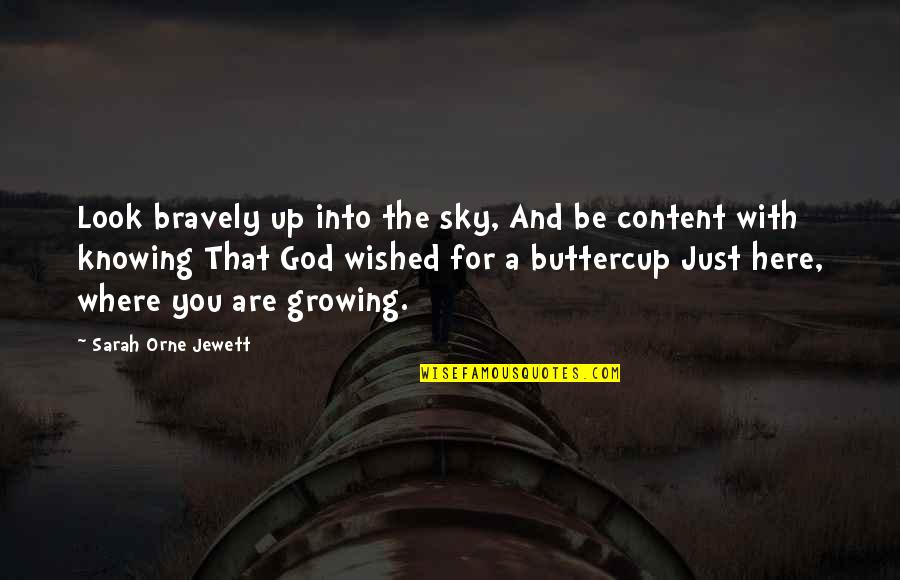 Look For God Quotes By Sarah Orne Jewett: Look bravely up into the sky, And be