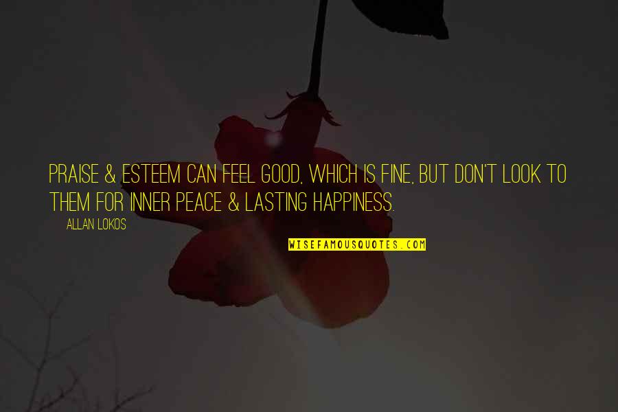 Look For Happiness Quotes By Allan Lokos: Praise & esteem can feel good, which is Look For Happiness Quotes By Allan Lokos: Praise & esteem can feel good, which is