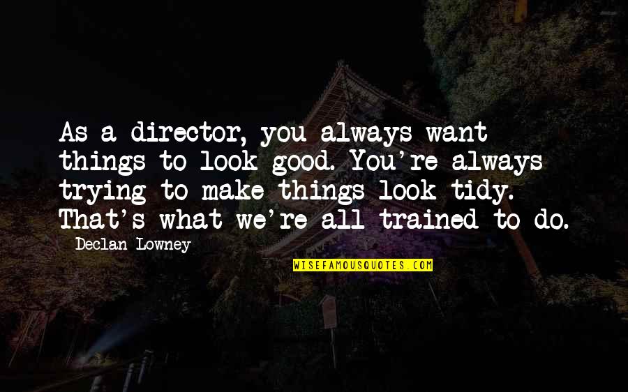 Look For The Good In Things Quotes By Declan Lowney: As a director, you always want things to