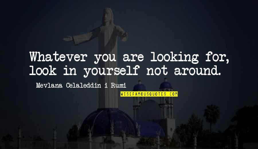 Look For Yourself Quotes By Mevlana Celaleddin-i Rumi: Whatever you are looking for, look in yourself