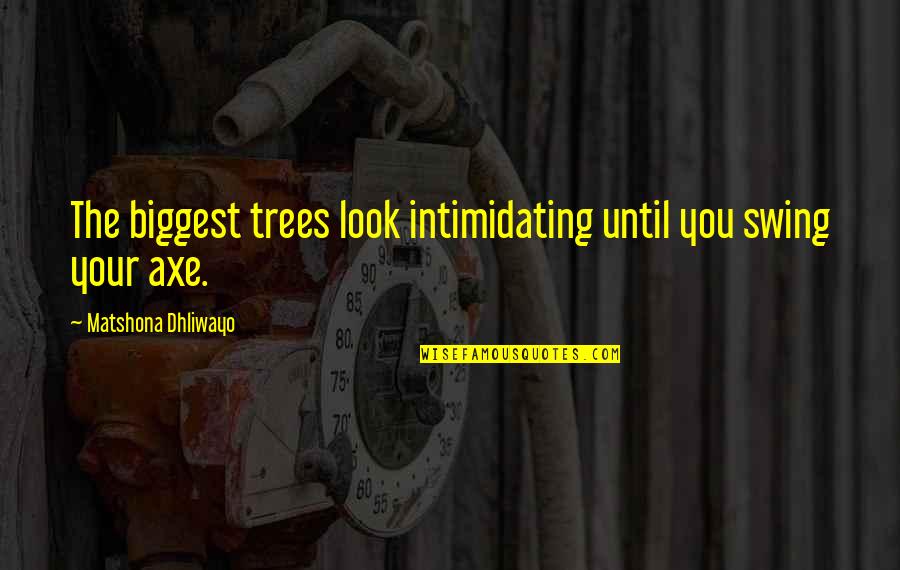 Look Intimidating Quotes By Matshona Dhliwayo: The biggest trees look intimidating until you swing