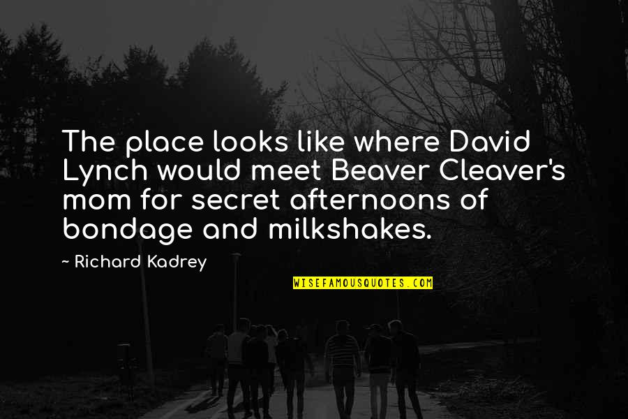 Look Intimidating Quotes By Richard Kadrey: The place looks like where David Lynch would