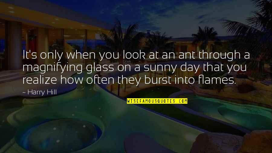 Look Into Nature Quotes By Harry Hill: It's only when you look at an ant Look Into Nature Quotes By Harry Hill: It's only when you look at an ant