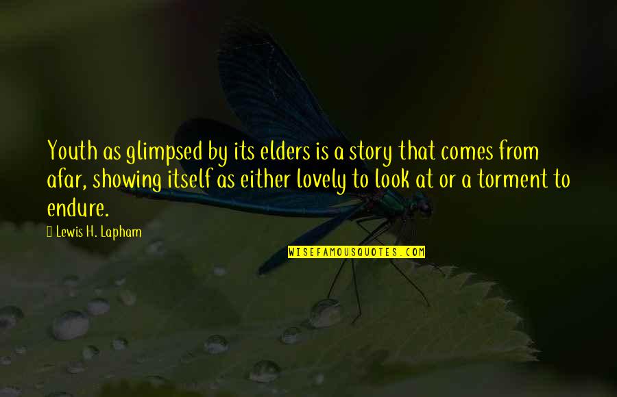 Look Itself Quotes By Lewis H. Lapham: Youth as glimpsed by its elders is a