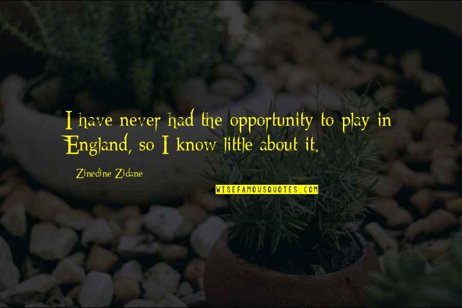Look Like My Mother Quotes By Zinedine Zidane: I have never had the opportunity to play