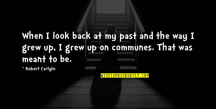 Look My Way Quotes By Robert Carlyle: When I look back at my past and