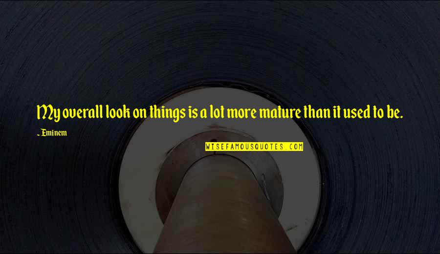 Look Not At The Things Quotes By Eminem: My overall look on things is a lot