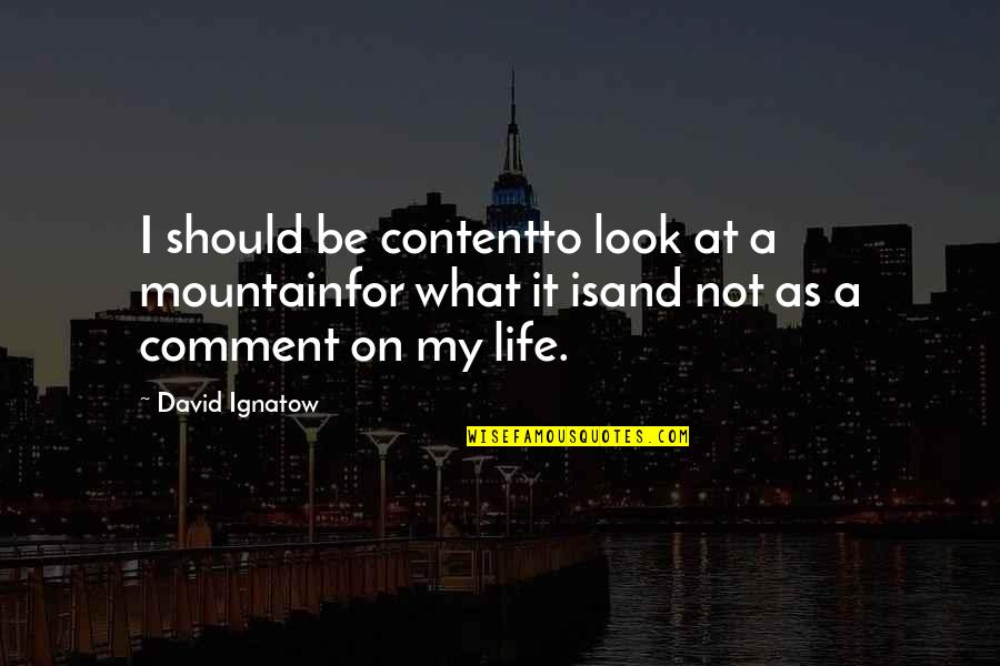 Look On Life Quotes By David Ignatow: I should be contentto look at a mountainfor