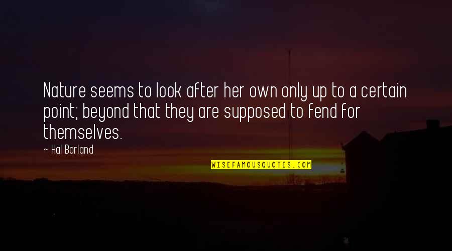 Look To Nature Quotes By Hal Borland: Nature seems to look after her own only Look To Nature Quotes By Hal Borland: Nature seems to look after her own only