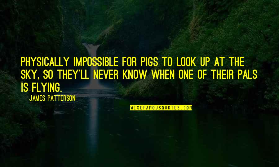 Look Up For Quotes By James Patterson: Physically impossible for pigs to look up at