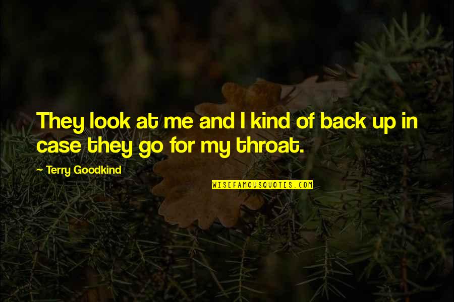 Look Up For Quotes By Terry Goodkind: They look at me and I kind of